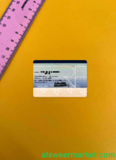 France ID photolook BACK